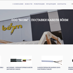 Adaptive CMS WordPress template — example of a freelancer's portfolio in the category Website development