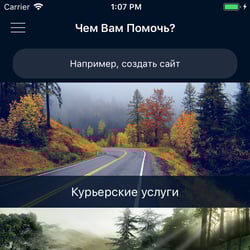 Pomogoo — приклад роботи портфоліо фрілансера в категорії Розробка під iOS (iPhone та iPad)