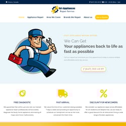 Wordpress + Wordpress + Writing — example of a freelancer's portfolio in the category Website Development