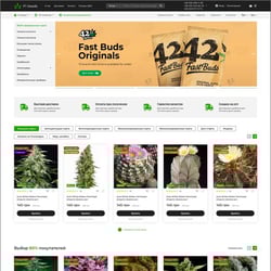 Интернет-магазин F1Seeds — пример работы портфолио фрилансера в категории HTML и CSS верстка