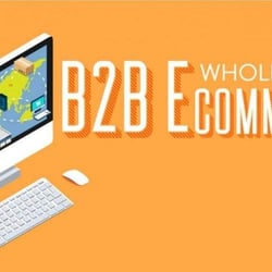 b2b platform — example of a freelancer's portfolio in the category Web Programming