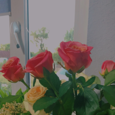 Freelancer Alina A. — Ukraine, Rovno. Core skill — Presentations, Content Management