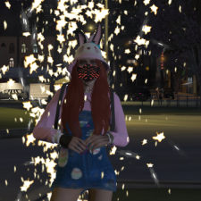 Anastasia Palamariuk