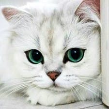 Фрилансер Руслан С. — Україна, Вінниця. Спеціалізація — HTML та CSS верстання, Javascript та Typescript