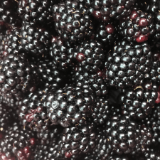 Фрилансер Диана В. — Украина, Киев. Специализация — Управление проектами, Маркетинговые исследования