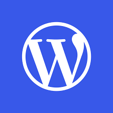 Фрилансер Wordpress S. — Украина, Киев. Специализация — Поисковое продвижение (SEO), SEO-аудит сайтов
