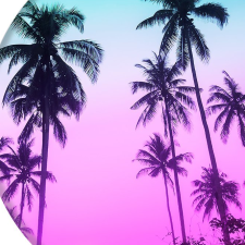 Freelancer Daniil S. — Ukraine, Kharkiv. Core skill — Databases & SQL, Databases & SQL