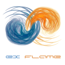 Freelancer Exflame S. — Ukraine, Kyiv.