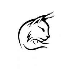 Freelancer Feature L. — Ukraine, Mykolaiv. Core skill — Website Development, Website Maintenance