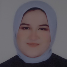 Freelancer Habiba M. — Egypt. Core skill — AI Art, AI & Machine Learning