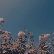 Фрилансер Анна Т. — Украина, Киев.