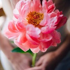 Фрилансер Ирина О. — Украина, Киев. Специализация — Продвижение в социальных сетях (SMM), Поисковое управление репутацией (SERM)