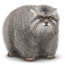 Евгений Данишевский