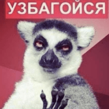 Фрилансер Юлия Г. — Украина, Днепр. Специализация — Копирайтинг, Юридические услуги