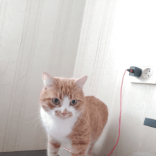 Ана Пр