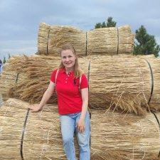 Фрилансер Катерина Д. — Украина, Запорожье. Специализация — Тестирование и QA, Тестирование и QA