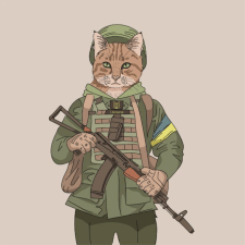 Freelancer Kiril K. — Ukraine, Kyiv. Specialization — Web Programming, HTML & CSS