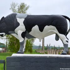 Фрилансер Лера Б. — Украина, Талалаевка. Специализация — Копирайтинг, Написание статей