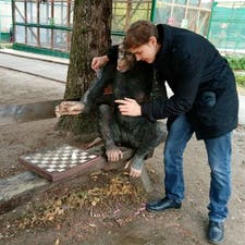 Фрилансер Эдуард М. — Україна. Спеціалізація — Вірші, пісні, проза, Навчання
