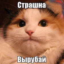 Фрилансер Роман Р. — Украина, Киев. Специализация — Реклама в социальных медиа, Продвижение в социальных сетях (SMM)