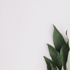 Freelancer Nataliia N. — Ukraina, Winnica. Specjalizacja — Projektowanie stron internetowych, Praca z klientami