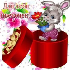 Фрилансер Елена Б. — Украина, Днепр. Специализация — HTML и CSS верстка, Дизайн визиток