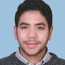 Freelancer Pola S. — Egypt, Cairo. Core skill — Testing & QA