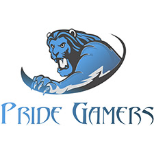 Заказчик Pride G. — Украина, Днепр.