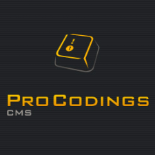 Freelancer Pro C. — Lithuania, Klaipeda. Core skill — Website Development, Web Design