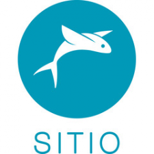Freelancer Sitio S. — Ukraine, Kharkiv. Core skill — Website Development, Search Engine Optimization (SEO)