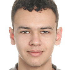 Freelancer Dmytro S. — Ukraine, Mironovka. Fachgebiet — HTML & CSS, KI & Machine Learning