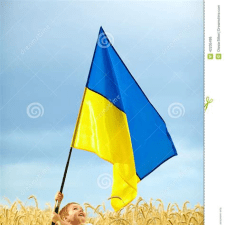 Vitaliy G.