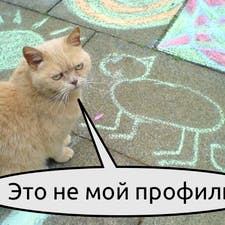 Фрилансер Владимир Д. — Украина, Киев. Специализация — Интернет-магазины и электронная коммерция, Создание сайта под ключ