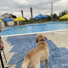 Freelancer Volodymyr P. — Ukraina. Specjalizacja — AI tekst, Edycja i korekta tekstu