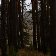 Freelancer Denys S. — Ukraine, Chernigov.