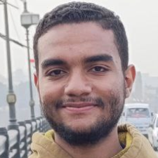 Freelancer Abd Al Rahman Hassan A. — Egypt, Cairo. Core skill — C & C++, Cryptocurrency & Blockchain