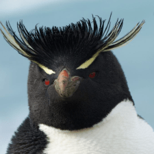 Фрилансер Семен А. — Украина, Киев. Специализация — Веб-программирование, HTML и CSS верстка