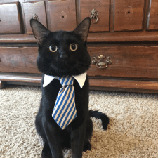 Евгений Кофлик