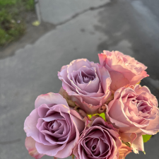 Freelancer Narta B. — Ukraine, Odessa. Core skill — Text Translation, Presentations