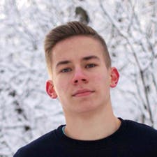 Freelancer Daniil V. — Ukraina, Kijów. Specjalizacja — Projektowanie stron internetowych, Loga