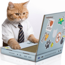 Freelancer Grigory L. — Ukraine, Kyiv. Specialization — Content Management, Information Gathering