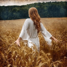 Замовник Inna H. — Україна, Київ.