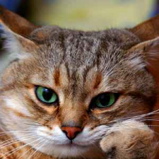 Фрилансер Евгения Д. — Украина, Днепр. Специализация — 3D моделирование и визуализация, Полиграфический дизайн