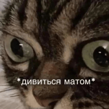 Фрилансер Екатерина Б. — Украина, Одесса. Специализация — Написание статей, Продвижение в социальных сетях (SMM)