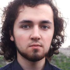 Freelancer Denis S. — Ukraine, Lvov. Core skill — Website Development, Vector Graphics