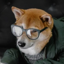 Максим Резин