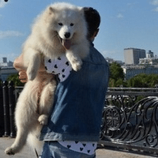 Фрилансер Олег В. — Україна, Харків. Спеціалізація — Контекстна реклама