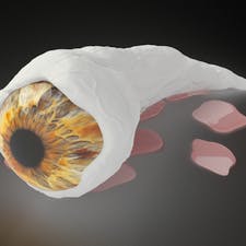 Фрилансер Дмитрий С. — Казахстан, Алматы (Алма-Ата). Специализация — 3D моделирование и визуализация