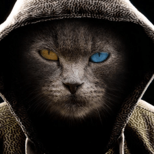 Фрилансер Руслан С. — Україна, Одеса. Спеціалізація — Python, Кібербезпека та захист даних