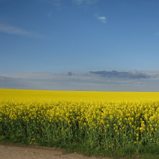 Client Serhii S. — Ukraine, Ternopol.